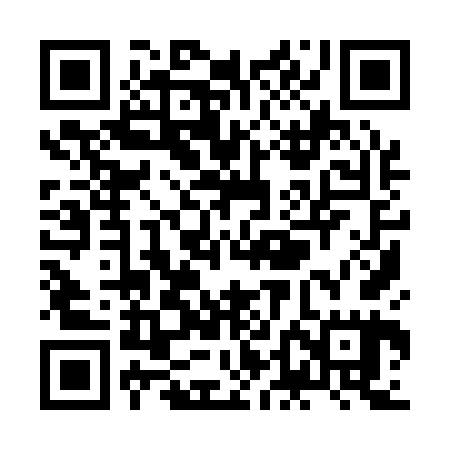 QR code for ZDI165