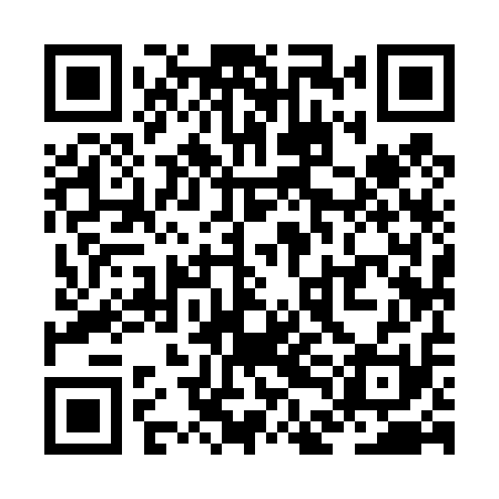 QR code for ZDI411