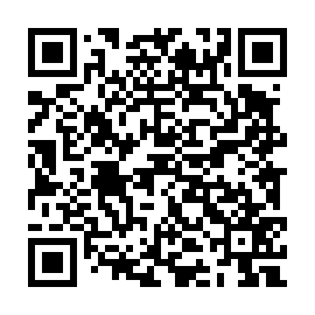 QR code for ZDL477