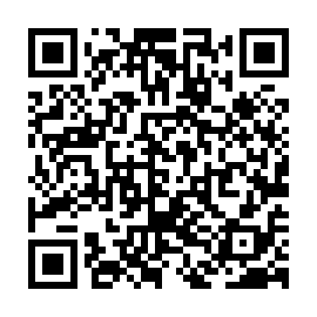 QR code for ZDL818