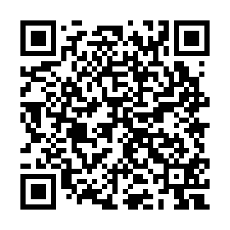 QR code for ZDM311