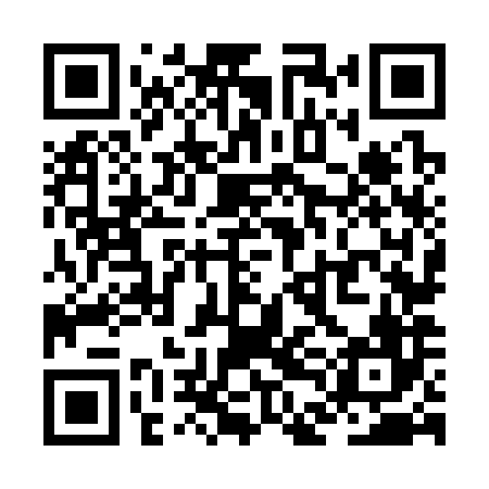 QR code for ZDN386