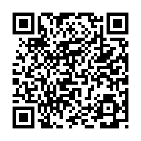 QR code for ZDT994