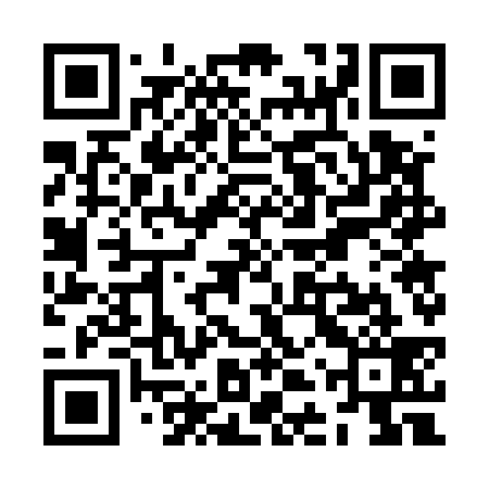 QR code for ZDW539