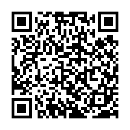 QR code for ZEE603