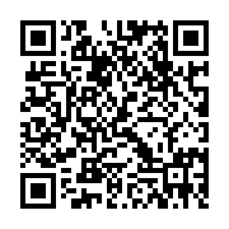 QR code for ZEZ991