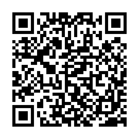 QR code for ZFF597