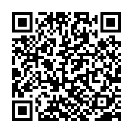 QR code for ZFL228