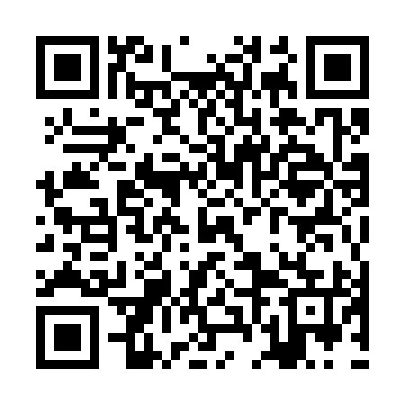 QR code for ZFM395