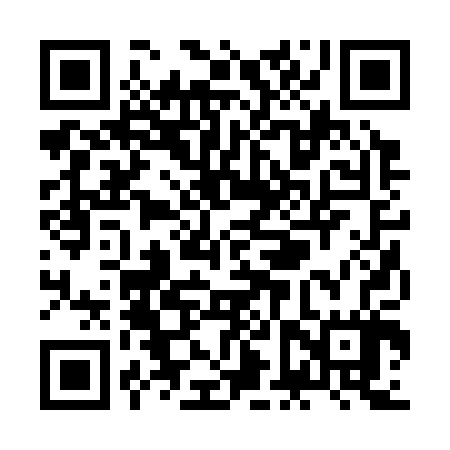 QR code for ZFR307