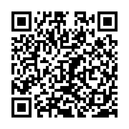 QR code for ZFY311