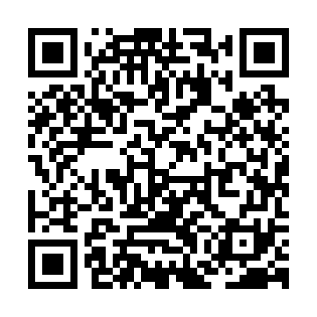 QR code for ZGI271