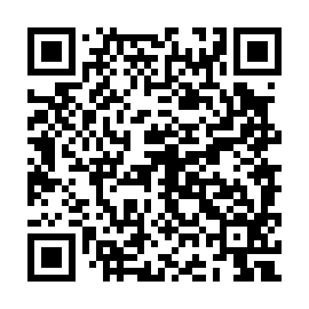 QR code for ZGN096