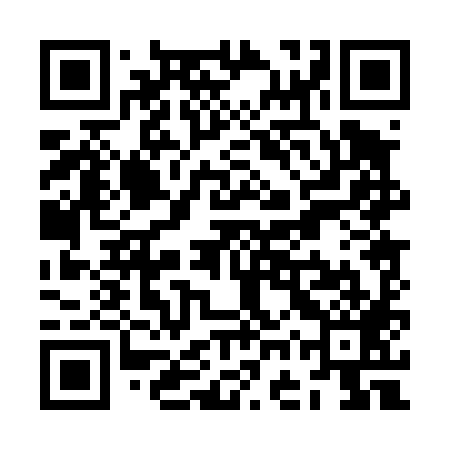 QR code for ZGP489