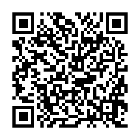 QR code for ZGS996