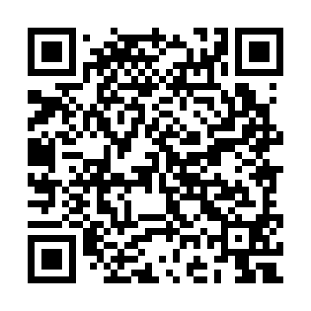 QR code for ZGX390