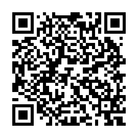 QR code for ZHA295