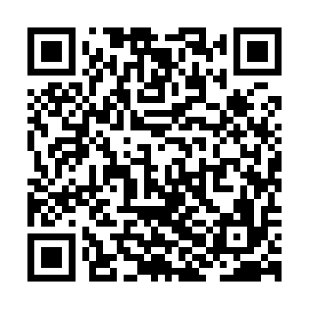 QR code for ZHI916