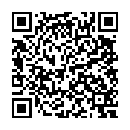 QR code for ZIB413