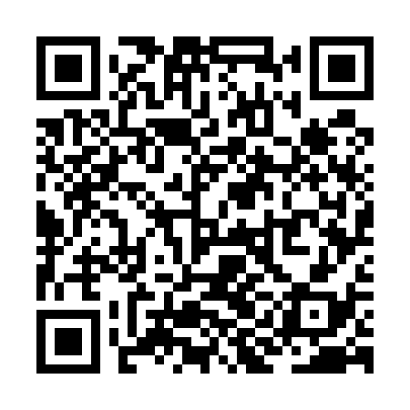QR code for ZIG538