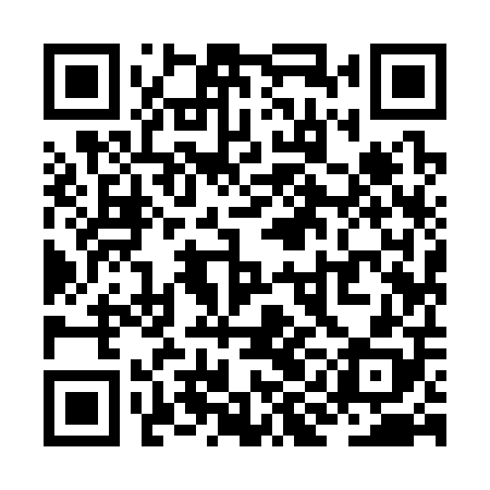 QR code for ZII308