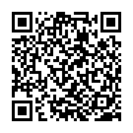 QR code for ZII368
