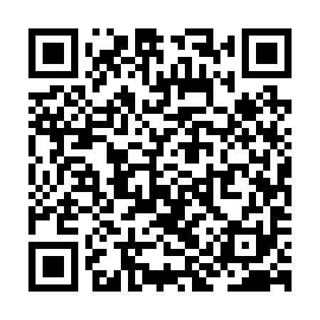 QR code for ZIU291