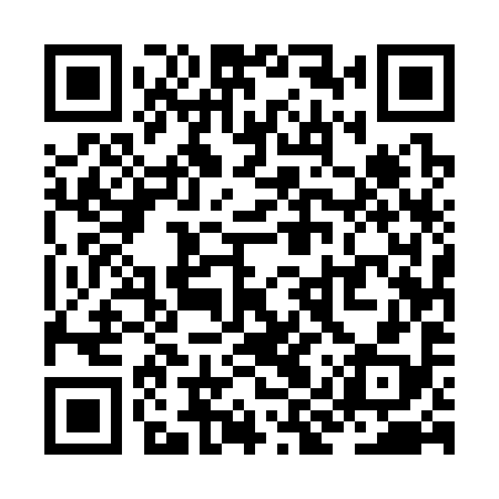 QR code for ZIU398