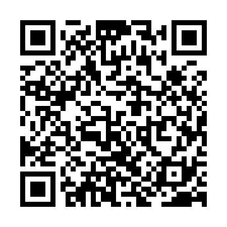QR code for ZIU931