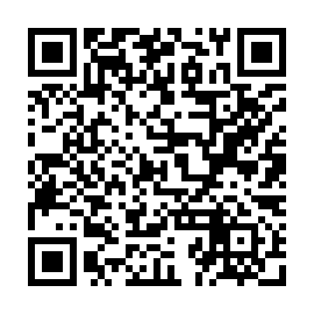 QR code for ZJF991