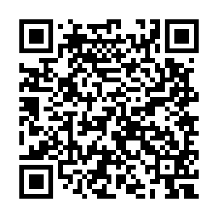 QR code for ZJJ593