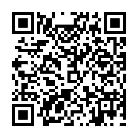 QR code for ZJM393