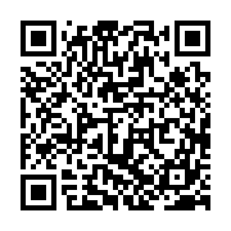 QR code for ZJP377