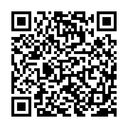 QR code for ZKH313