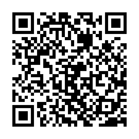 QR code for ZKT919