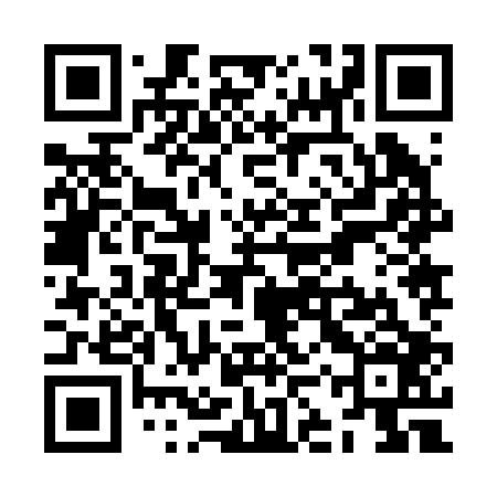 QR code for ZKZ206