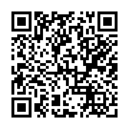 QR code for ZLI311
