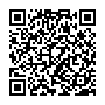 QR code for ZLM101