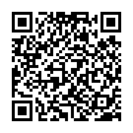QR code for ZLM619