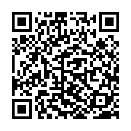 QR code for ZLT169
