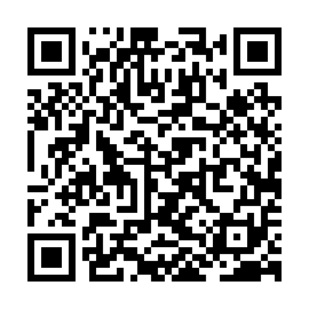 QR code for ZLT251