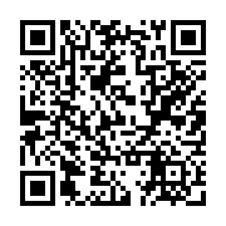 QR code for ZLT371