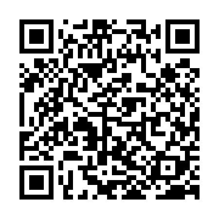 QR code for ZLU509