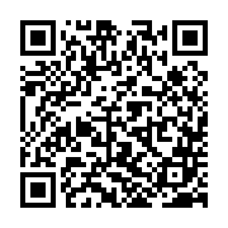 QR code for ZLV142