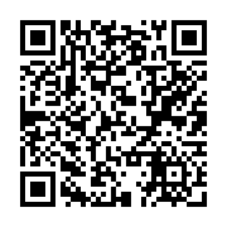 QR code for ZLV376