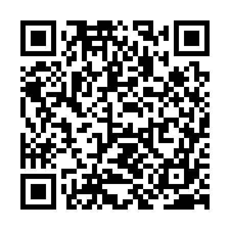 QR code for ZMG377