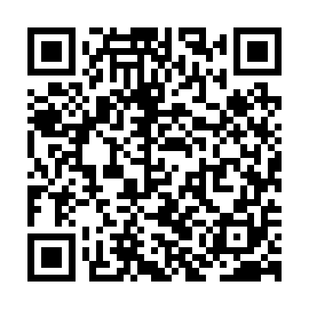 QR code for ZMM250