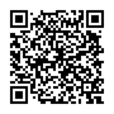 QR code for ZMM411
