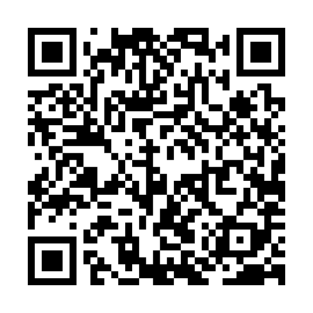 QR code for ZMT389