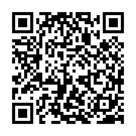 QR code for ZMX071